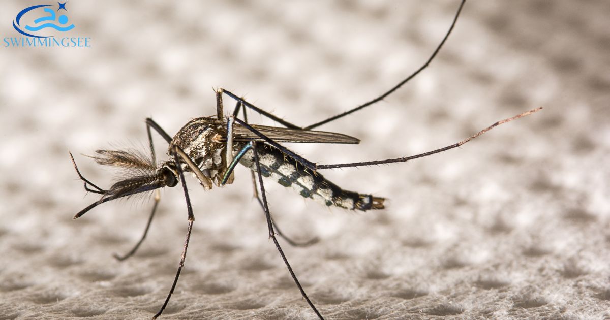  Approaches 
 Eradicating Mosquito Larvae Pool