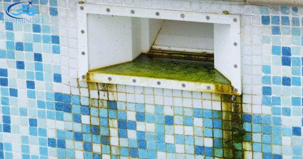 Preventing Algae  on Tiles