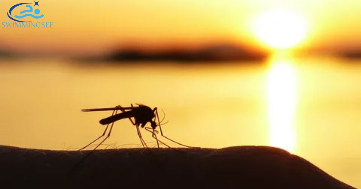 Sunlight Disrupt Mosquito Larvae Development