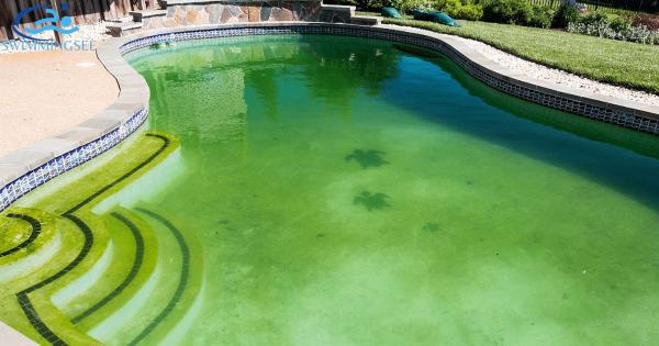 is it safe to swim in a pool with algae?